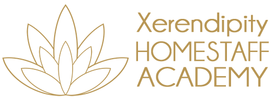 Xerendipity HomeStaff Academy