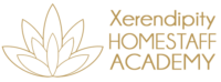 Xerendipity HomeStaff Academy